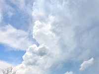 66107CrLeUsm - Thunderclouds over Miller's Creek Park.jpg